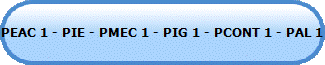 PEAC 1 - PIE - PMEC 1 - PIG 1 - PCONT 1 - PAL 1
