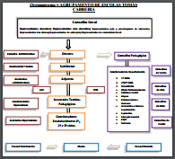 Organograma do AETC