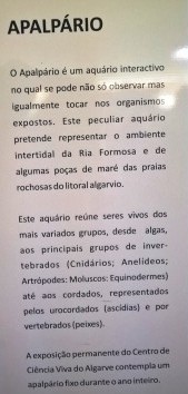 fotografia8