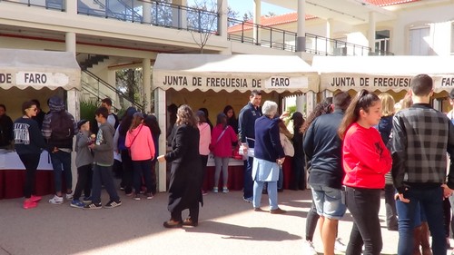 feira5